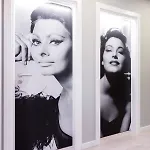 Chic Пареде